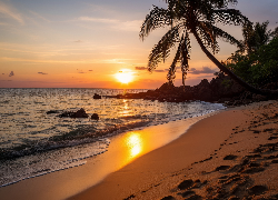 Plaża, Palmy, Morze, Zachód słońca, Grafika AI