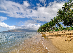 Stany Zjednoczone, Hawaje, Maui, Morze, Plaża, Palmy