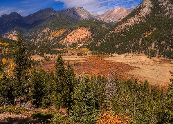 Góry, Góry Skaliste, Drzewa, Park Narodowy Gór Skalistych, Kolorado, Stany Zjednoczone