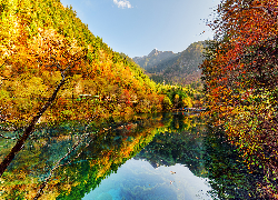 Chiny, Park Narodowy Jiuzhaigou, Jezioro, Góry, Jesień, Drzewa