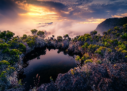 Francja, Wyspa Reunion, Park Narodowy Reunionu, Drzewa, Jezioro, Roślinność, Góry, Mgła, Wschód słońca, Chmury
