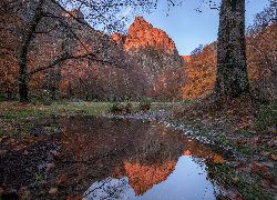 Portugalia, Góry, Serra da Estrela, Park Przyrodniczy Serra da Estrela, Drzewa, Jesień