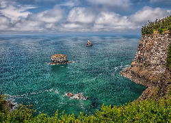 Wybrzeże, Morze, Skały, Roślinność, Park Stanowy Cape Meares, Przylądek Meares, Oregon, Stany Zjednoczone