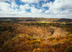 Stany Zjednoczone, Wisconsin, Wildcat Mountain State Park, Jesień, Wzgórza, Las, Pożółkłe, Drzewa, Niebo, Chmury