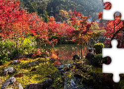 Park, Kolorowe, Drzewa, Staw, Kioto, Japonia