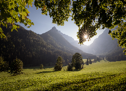 Austria, Styria, Góry, Hochschwabgruppe, Alpy wapienne, Polana, Drzewa, Promienie słońca