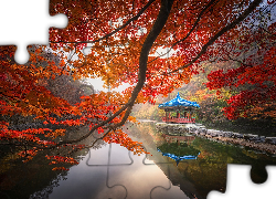 Jesień, Staw Sagiike, Gałęzie, Klon, Altana, Pawilon Ukimido, Nara Park, Nara, Japonia
