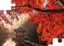 Jesień, Staw, Sagiike, Gałęzie, Klon, Altana, Pawilon Ukimido, Promienie słońca, Nara Park, Nara, Japonia