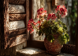 Pelargonie, Gliniana, Donica, Stary, Parapet, Okiennice, Grafika AI