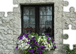 Okno, Kwiaty, Petunie, Parapet, Fasada, Dom