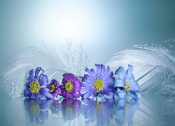Kwiaty, Niebieskie, Piórka, Zbliżenie