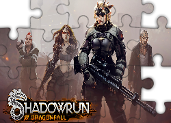 Gra, Shadowrun Dragonfall, Postacie