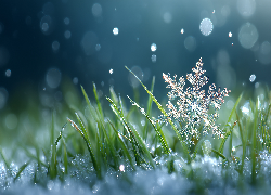 Śnieżynka, Trawa, Śnieg, Grafika AI