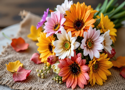 Bukiet, Kolorowe, Kwiaty, Płatki, Płótno