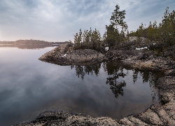 Jezioro Ładoga, Drzewa, Skały, Karelia, Rosja