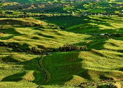 Stany Zjednoczone, Stan Waszyngton, Palouse, Wzgórza, Pola, Łąki, Domy, Drzewa