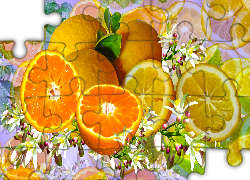 Owoce, Cytryny, Mandarynka, Kwiaty, Grafika