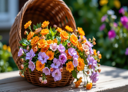 Fioletowe, Pomarańczowe, Kwiaty, Koszyk