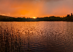 Jezioro, Ross Lake, Zachód słońca, Rosscahill, Galway, Irlandia