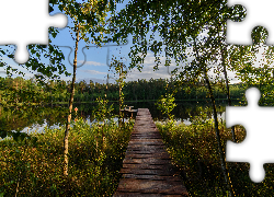 Mazury, Polska, Jezioro Bełdany, Mostek, Drzewa, Las