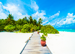 Lato, Morze, Wyspa, Malediwy, Plaza, Pomost, Palmy, Roślinność, Niebo, Obłoki