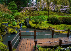 Stany Zjednoczone, Oregon, Portland, Ogród japoński, Kwitnące, Drzewa, Roślinność, Sadzawka, Pomost