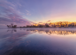 Stany Zjednoczone, Stan Kolorado, Park stanowy, Chatfield State Park, Jezioro, Chatfield Lake, Drzewa, Wschód słońca, Mgła