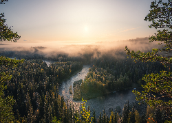 Finlandia, Park Narodowy Oulanka, Las, Rzeka, Mgła, Wschód słońca