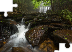 Stany Zjednoczone, Stan Pensylwania, Park stanowy Ricketts Glen State Park, Potok Kitchen Creek, Wodospad Oneida Falls, Las, Rzeka, Kamienie