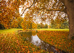 Park, Staw, Polana, Drzewa, Jesień