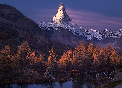 Szwajcaria, Góry, Alpy Pennińskie, Szczyt Matterhorn, Jesień, Las, Pożółkłe, Drzewa, Rzeka