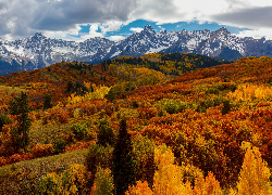 Las, Drzewa, Chmury, Jesień, Góry, San Juan Mountains, Przełęcz, Dallas Divide, Kolorado, Stany Zjednoczone