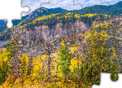 Jesień, Drzewa, Las, Góry, San Juan Mountains, Telluride, Kolorado, Stany Zjednoczone