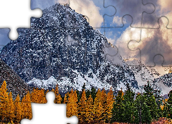 Jesień, Góry, Drzewa, Śnieg