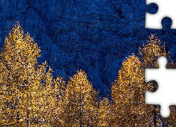 Skały, Pożółkłe, Drzewa