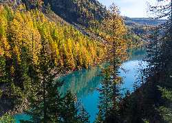 Jesień, Jezioro, Lac de Tseuzier, Góry, Alpy, Drzewa, Valais, Szwajcaria