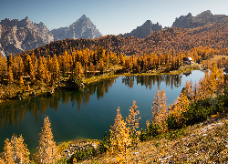 Jezioro, Federa Lake, Góry, Dolomity, Lasy, Drzewa, Jesień, Prowincja Belluno, Włochy