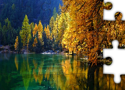 Jezioro, Lai da Palpuogna, Pożółkłe, Drzewa, Jesień, Albula, Kanton Gryzonia, Szwajcaria