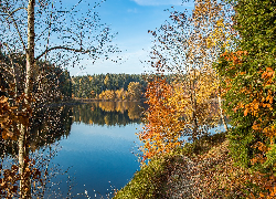 Jesień, Jezioro, Żółte, Drzewa