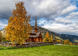 Góry, Drzewa, Kościół, Lom stavkirke, Lom, Norwegia