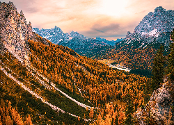 Góry, Dolomity, Cadini di Misurina, Drzewa, Dolina, Włochy