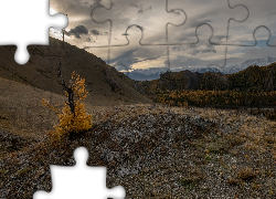 Góry, Drzewa, Pożółkłe, Drzewo, Skała