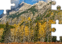 Jesień, Góry, Sawback Range, Góra, Mount Ishbel, Drzewa, Topole osikowe, Park Narodowy Banff, Kanada