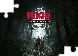 Gra, Predator Hunting Grounds