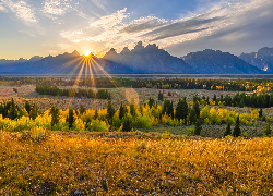 Park Narodowy Grand Teton, Góry, Teton Range, Pole, Drzewa, Promienie słońca, Chmury, Stan Wyoming, Stany Zjednoczone
