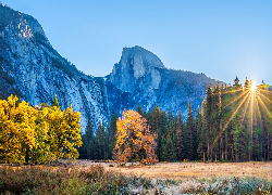 Park Narodowy Yosemite, Góry, Las, Drzewa, Jesień, Promienie słońca, Kalifornia, Stany Zjednoczone