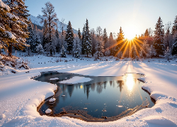 Zima, Śnieg, Ośnieżone, Drzewa, Promienie słońca, Jezioro