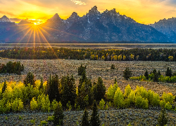 Stany Zjednoczone, Wyoming, Park Narodowy Grand Teton, Promienie słońca, Góry, Drzewa