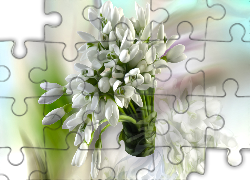 Kwiaty, Przebiśniegi, Bukiet, Grafika 2D