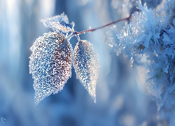 Zmarznięte, Liście, Gałązka, Grafika AI